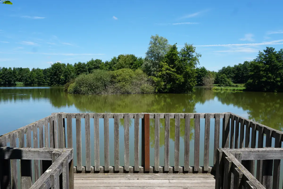 Vue sur un lac et le jardin